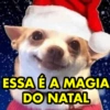 ESSA É A MAGIA DO NATAL