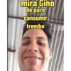 XD? 18
