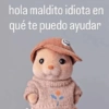 hola maldito idiota en qué te puedo ayudar