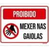 Amigos 16