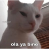 frasting.sad ola ya bine