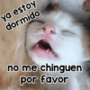 ya estoy dormido no me chinguen por favor