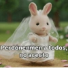 Perdónenmen a todos, no acecto