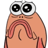 Bikini bottom core 15