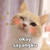 MEME KUCING BUCIN ❤ 11