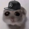 🐀 Sad Rat 🐀🐀 Meme 🐀 17