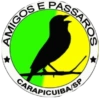 Amigos 15