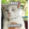 Napa Gaseneng?