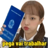 Carteira de trabalho memes  6