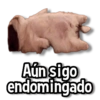 Memes Clásicos 3.0😏💕 12