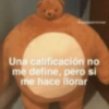 Una calificación no me define, pero si me hace llorar