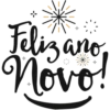 Feliz ano novo  16