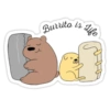 Bear bears 4 9