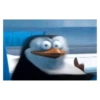 Pinguim  7