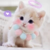 🐾Gatitos Cute🐈💖 23