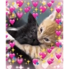 Reações de Amor🥰 10