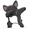 Dog salute 9