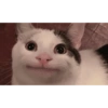 Memes random 3 18