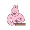 Pink korea rabbit  24