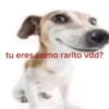 tu eres como rarito vdd?