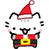 Basiilleaf Cat 😸 21