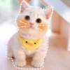🐾Gatitos Cute🐈💖 20
