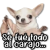 Se fue todo al carajo...