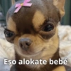 Eso alokate bebé