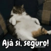 Ajá sí, seguro!