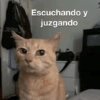 ANIMALITOS VARIADOS 🌸🐽 9