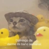 Trip tomitosbergi Domingo de darme mi baño semanal