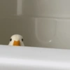 Patinho Fofo Reações 🦆 10