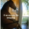 E se eu não for amanhã
