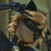 Cat noir 21