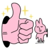 Pink korea rabbit  16