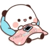 Mochi pande 11
