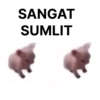 Kucing tulalit cik 😹 12