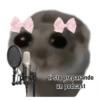 Hamster desesperado 20