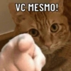 Você vai amar essas 🤣 9