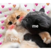 Gatitos con corazones 13