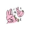 Pink korea rabbit  6