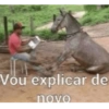 BAIXA ESSAS... 12