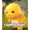 capek banget