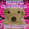 FELIZ DIA DIOS BENDIGA ESE CULOTE
