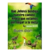 Los buenos días  12