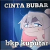 Indos 8