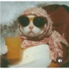 Cat 9