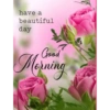 Good morning 38