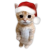 Gatito con Gorra de Santa de Pie