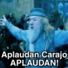 Aplaudan Carajo APLAUDAN!